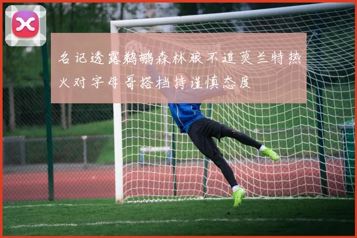 名记透露鹈鹕森林狼不追莫兰特热火对字母哥搭档持谨慎态度