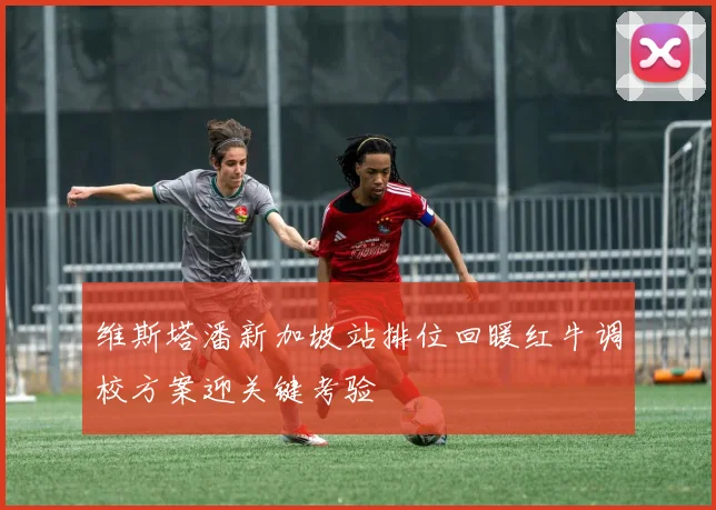 维斯塔潘新加坡站排位回暖红牛调校方案迎关键考验