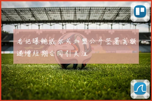 名记曝鲍威尔或加盟公牛签署高额递增短期合同引关注