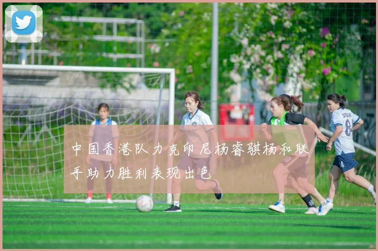 中国香港队力克印尼杨睿骐杨和联手助力胜利表现出色