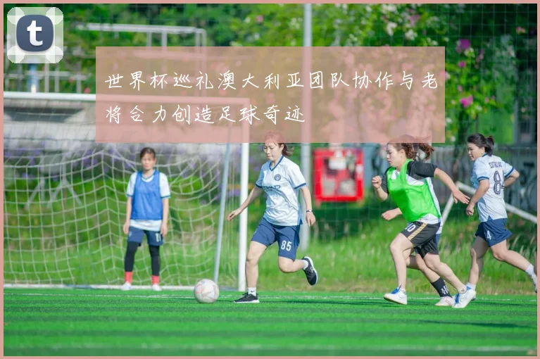 世界杯巡礼澳大利亚团队协作与老将合力创造足球奇迹