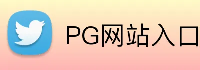 PG网站入口 logo